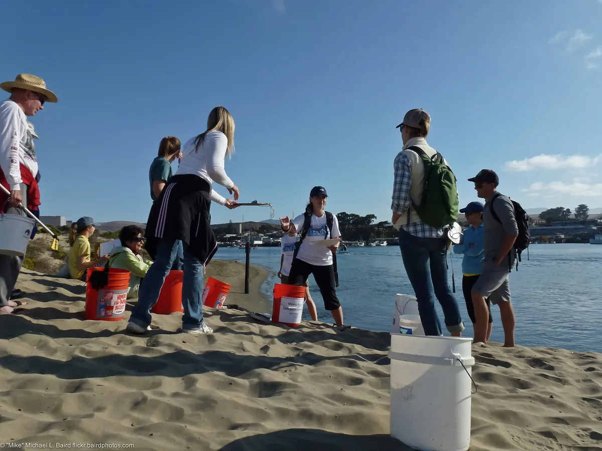 Volunteers with orange buckets gather on a sandy spit beside calm blue water.